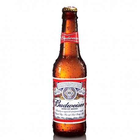 Birra Bud - La Porchetteria